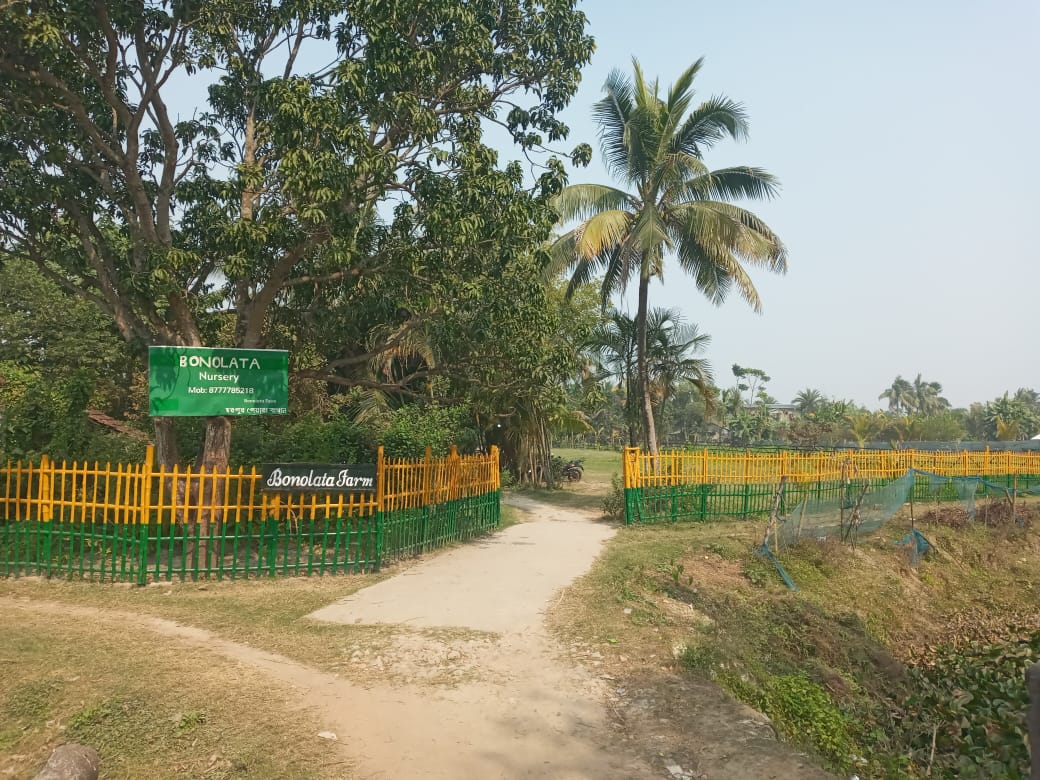 Plants: image 1 0f 4 thumb